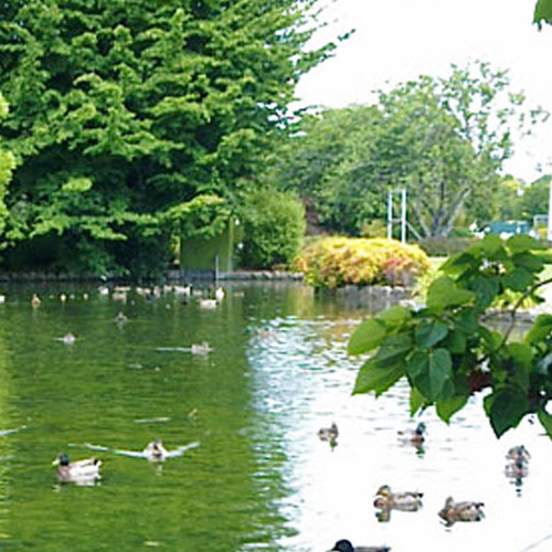 https://www.parklink.com.au/wp-content/uploads/2024/08/parklink-cornwall-park-pond-feature.jpg